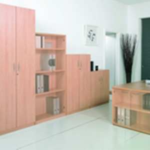 Wooden Cupboards Bookcases Garston Business Interiors 01392